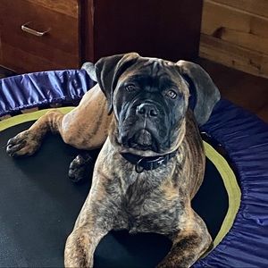 Meet your Posher, Kim